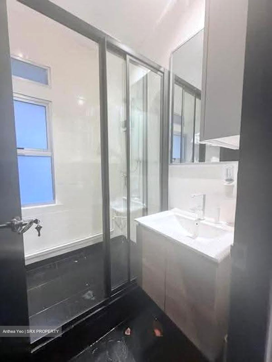 Novena Hill (D11), Apartment #618948641
